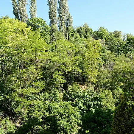 New In Heart Of Appartement *